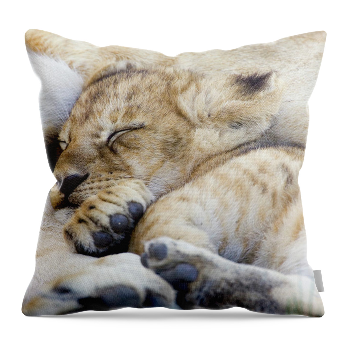00761283 Throw Pillow featuring the photograph African Lion Cub Sleeping by Suzi Eszterhas