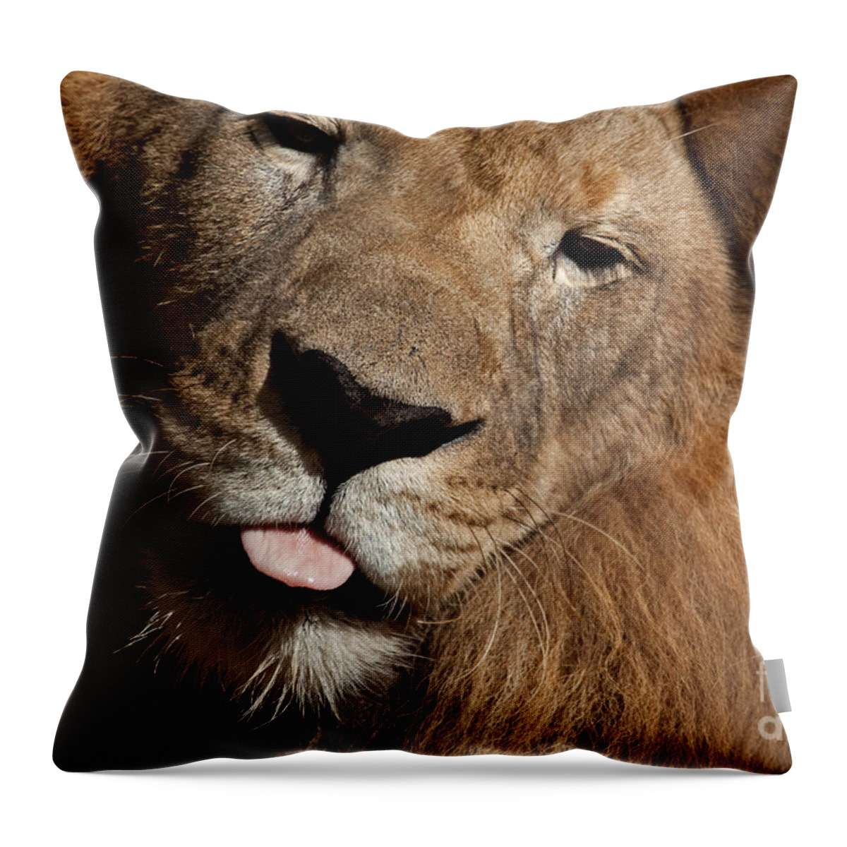 Lion Throw Pillow featuring the photograph African Lion by Meg Rousher