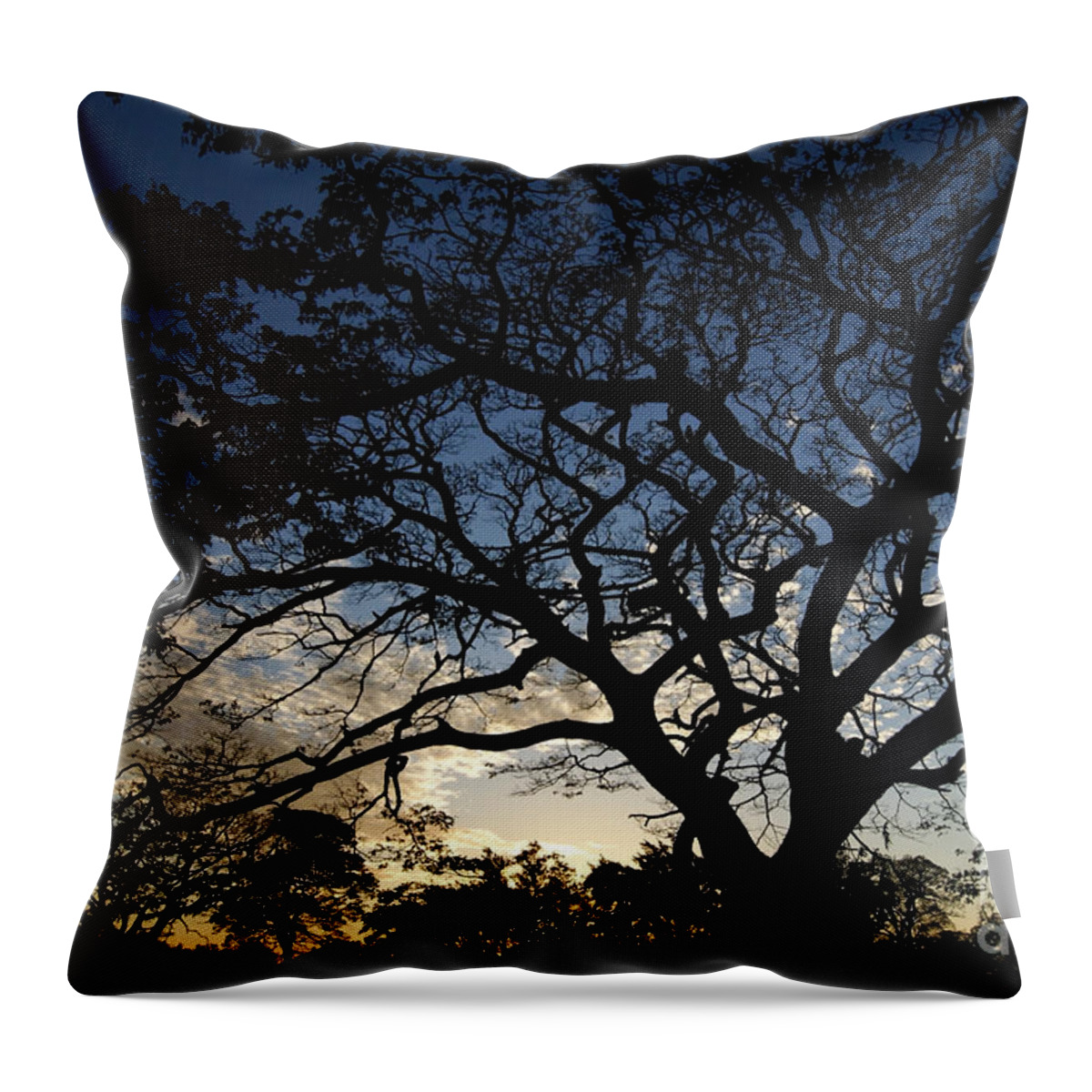 Prott Throw Pillow featuring the photograph After Sunset by Rudi Prott