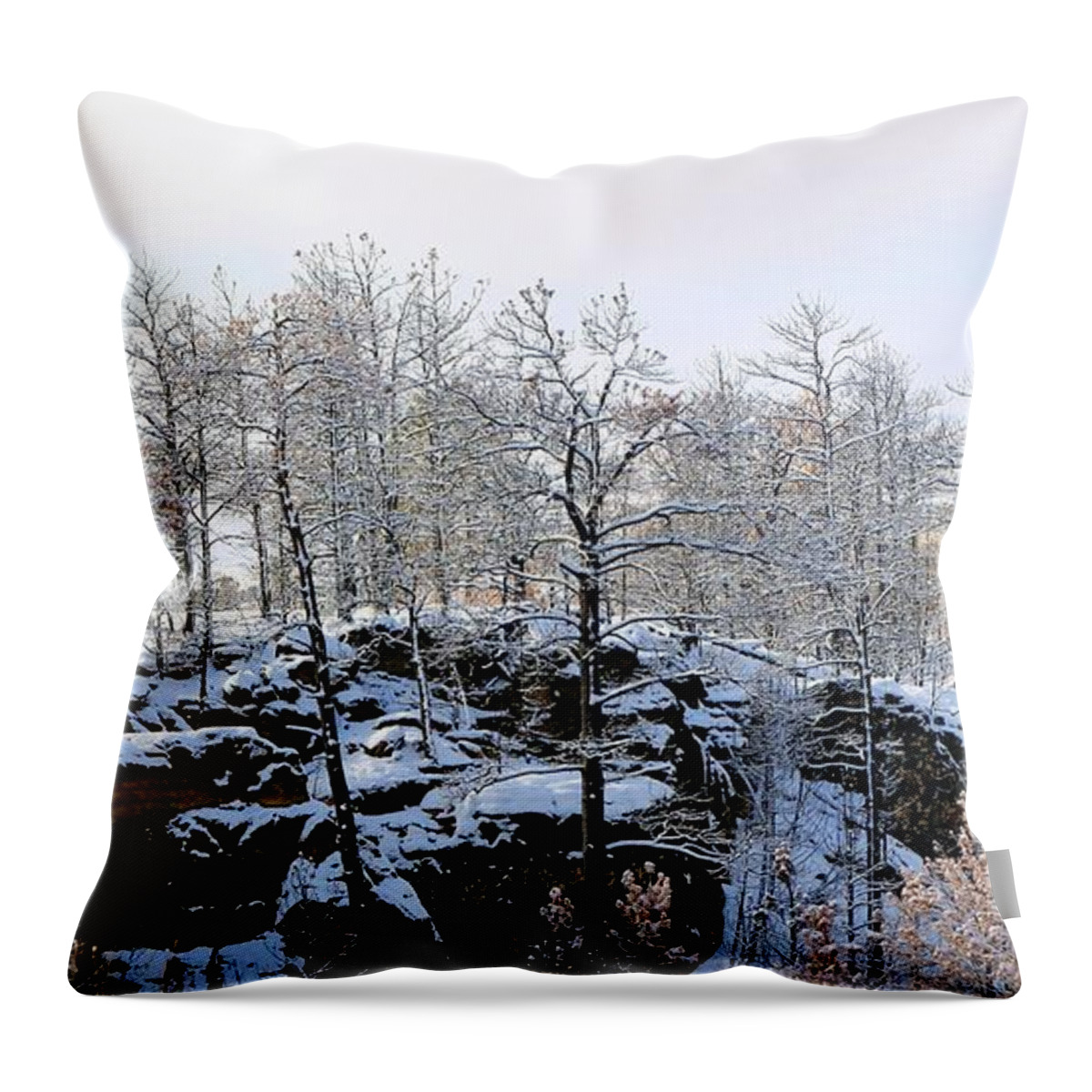 Black Hills Throw Pillow featuring the photograph After The Fire by Donald J Gray