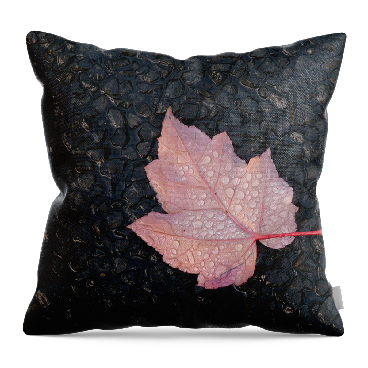 Rain Throw Pillow featuring the photograph After The Rain by Evelyn Tambour