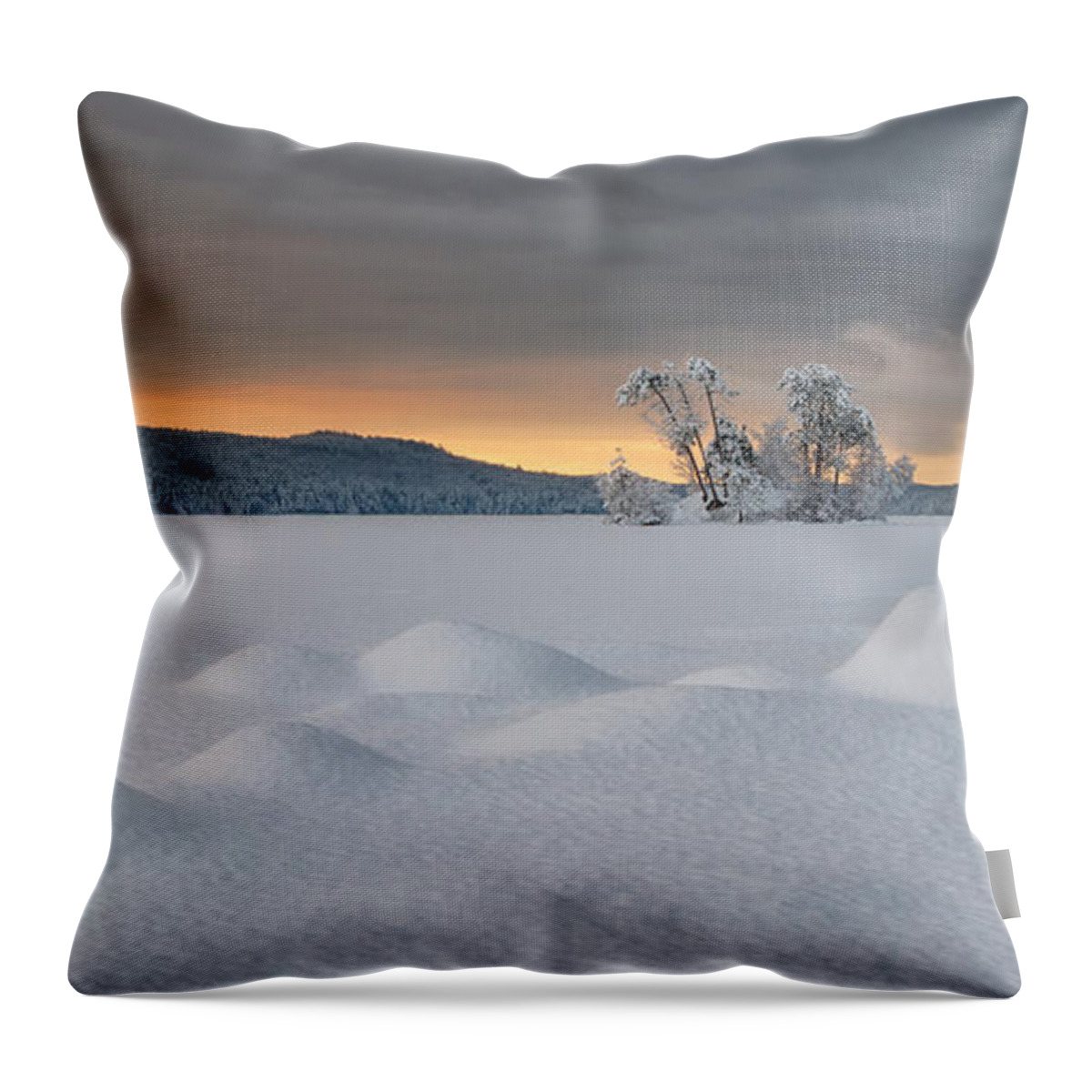 Moose Pond Throw Pillow featuring the photograph After the Storm by Darylann Leonard Photography