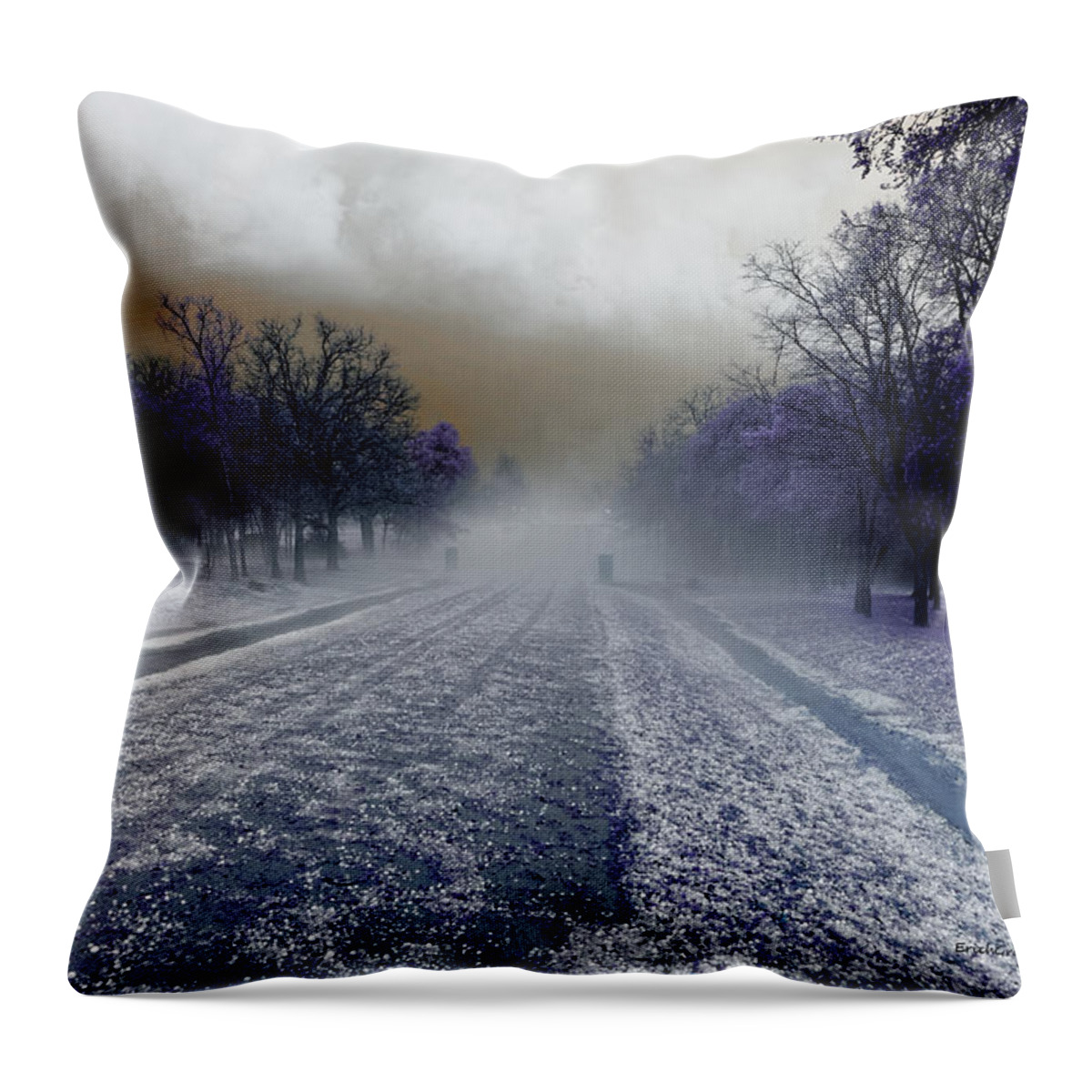 Texas Throw Pillow featuring the photograph After the Storm by Erich Grant