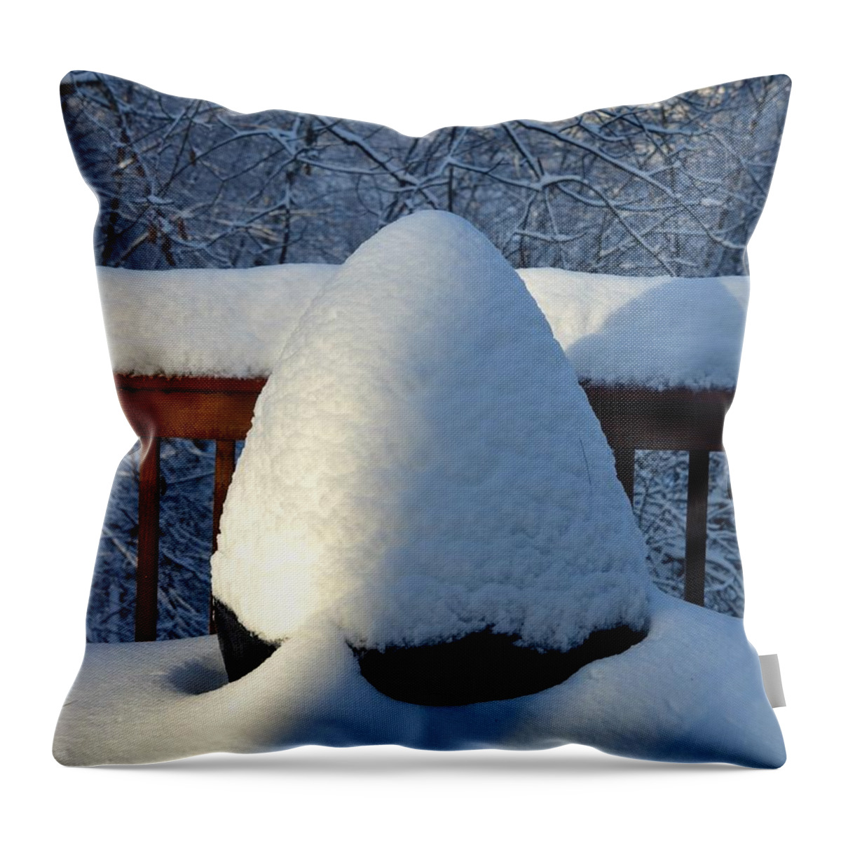 Snow Throw Pillow featuring the photograph After the Storm by Richard Bryce and Family