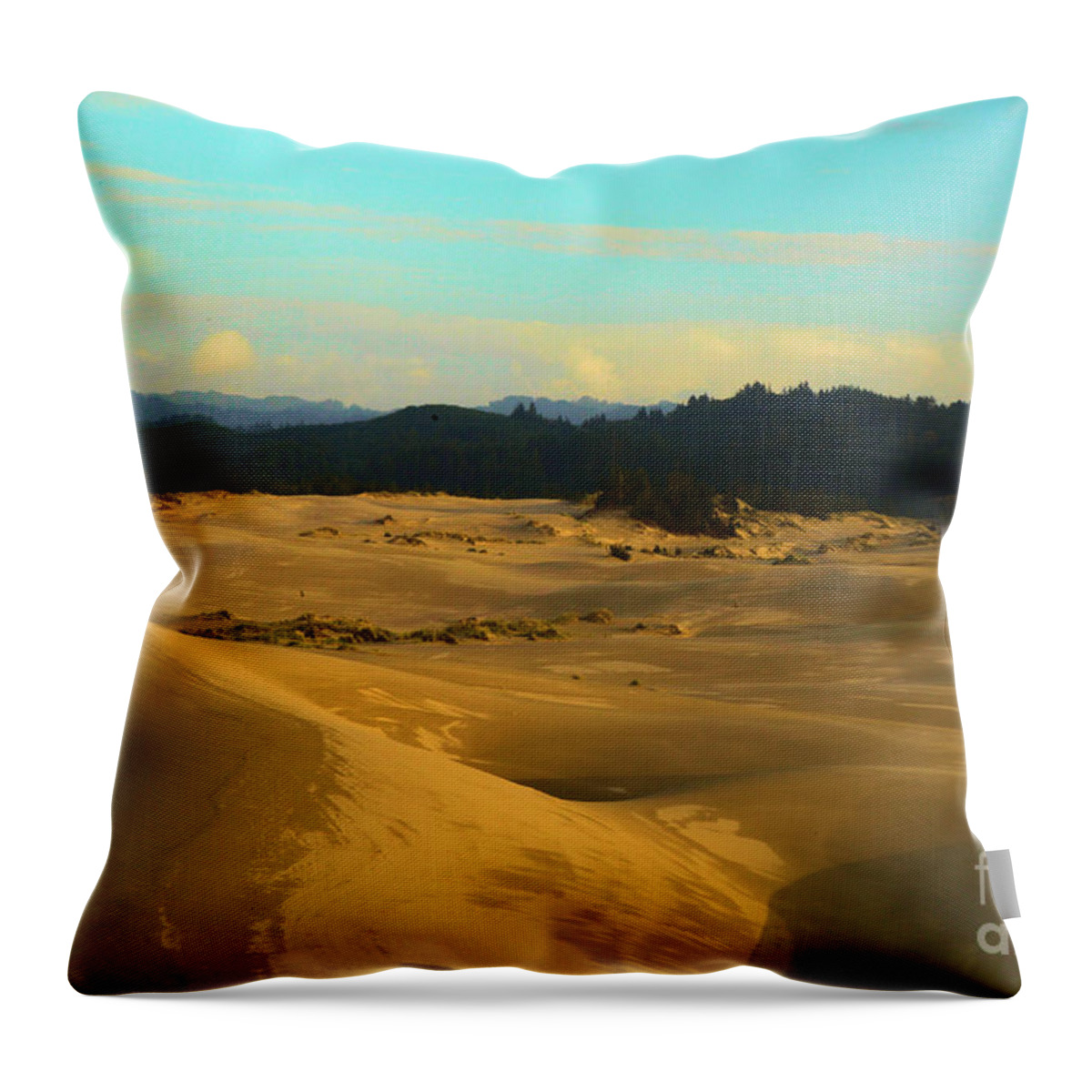 Oregon Dunes Throw Pillow featuring the photograph Afternoon At Oregon Dunes by Adam Jewell
