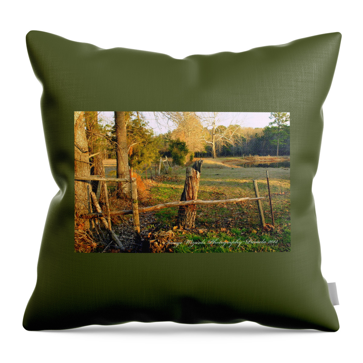 Autumn Fences Throw Pillow featuring the photograph Afternoon Glow And The Broken Fence by Pamela Smale Williams