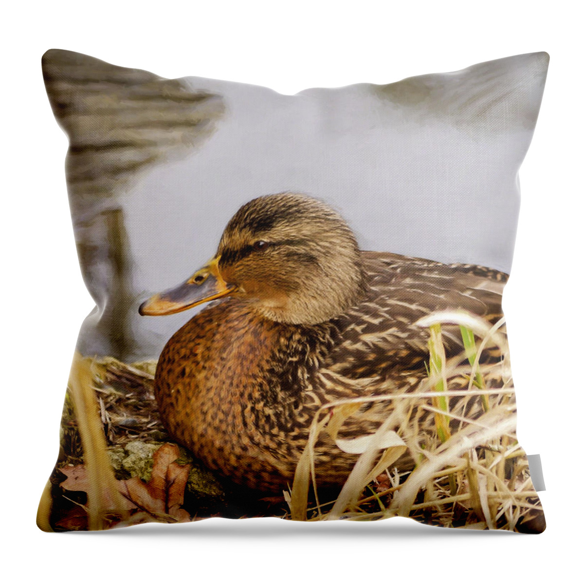 Afternoon Siesta Throw Pillow featuring the photograph Afternoon Siesta by Jordan Blackstone