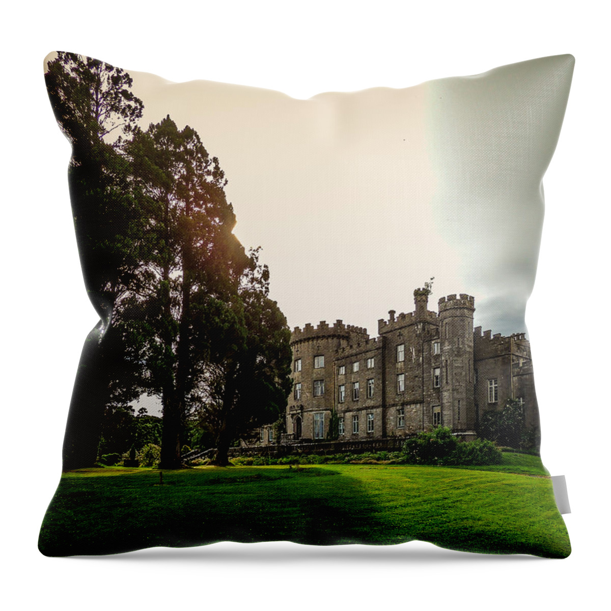 14th Century Throw Pillow featuring the photograph Afternoon Sun over Markree Castle by James Truett
