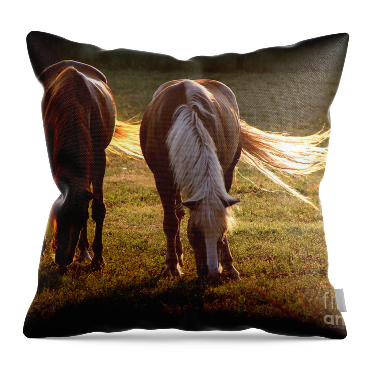 Horses Throw Pillow featuring the photograph Afternoon Sun by Rabiah Seminole