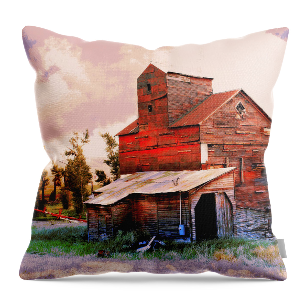 Grain Elevator Throw Pillow featuring the photograph Against The Grain by Marty Koch