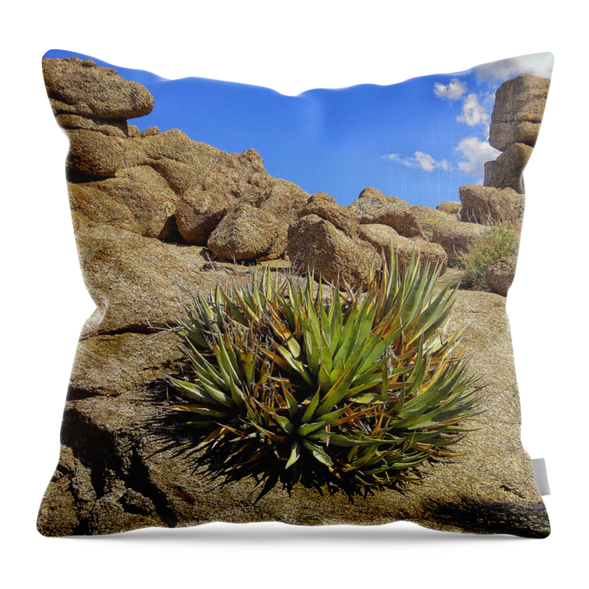 Century Plant Throw Pillow featuring the photograph Against the Odds by Michael Pickett