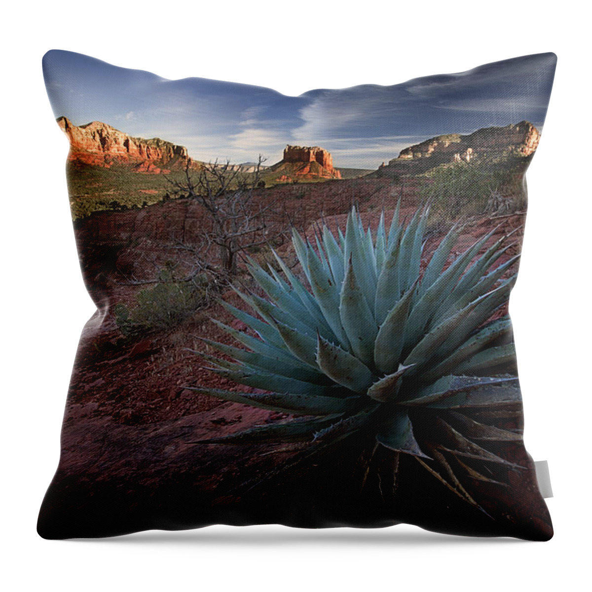Landscape Throw Pillow featuring the photograph Agave in the mountains by Dominique Dubied