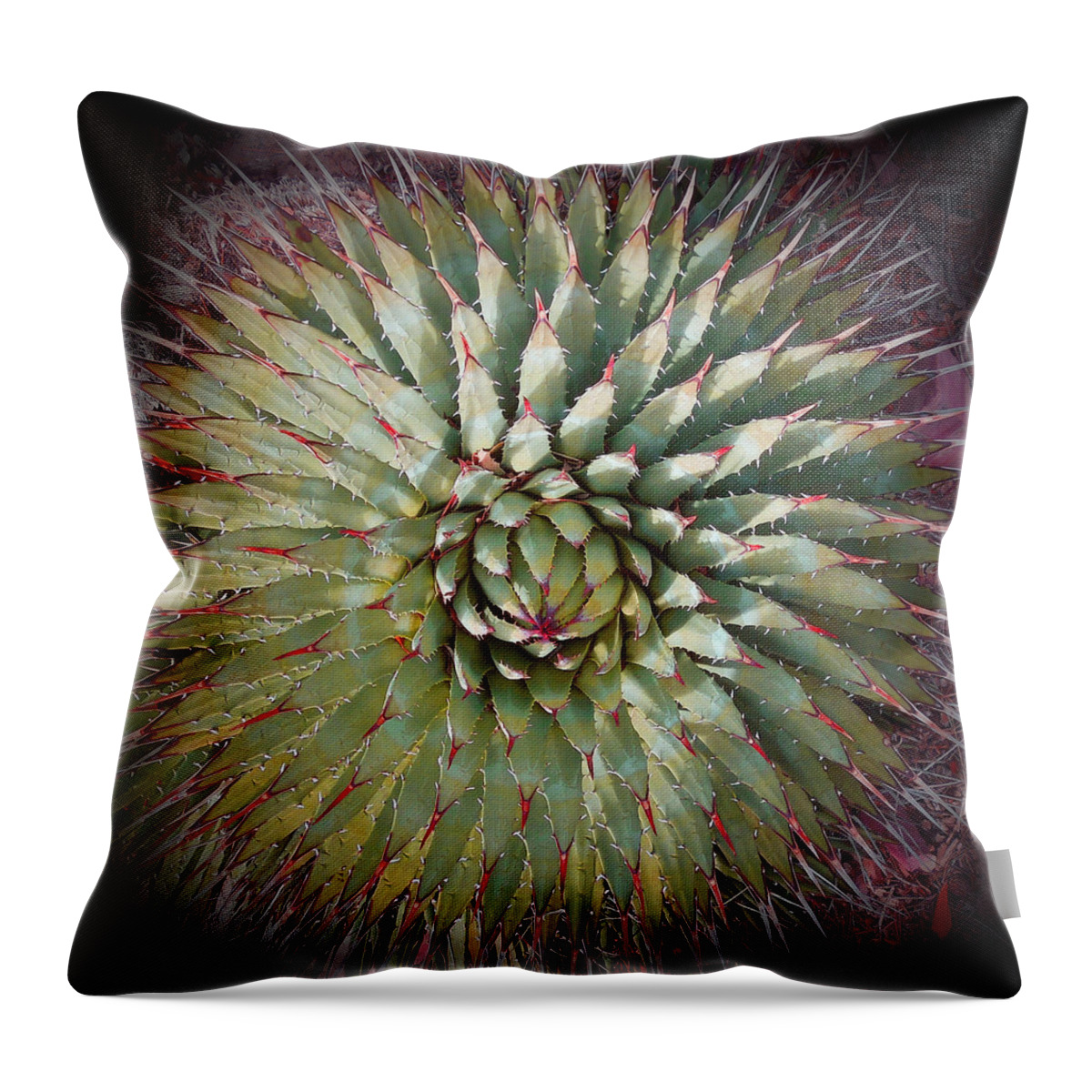 Agave Throw Pillow featuring the photograph Agave Spikes by Alan Socolik