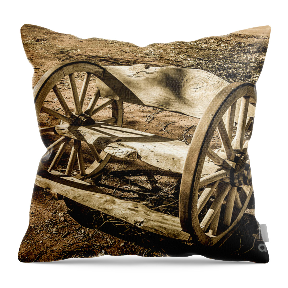 Bob And Nancy Kendrick Throw Pillow featuring the photograph Aged Bench by Bob and Nancy Kendrick