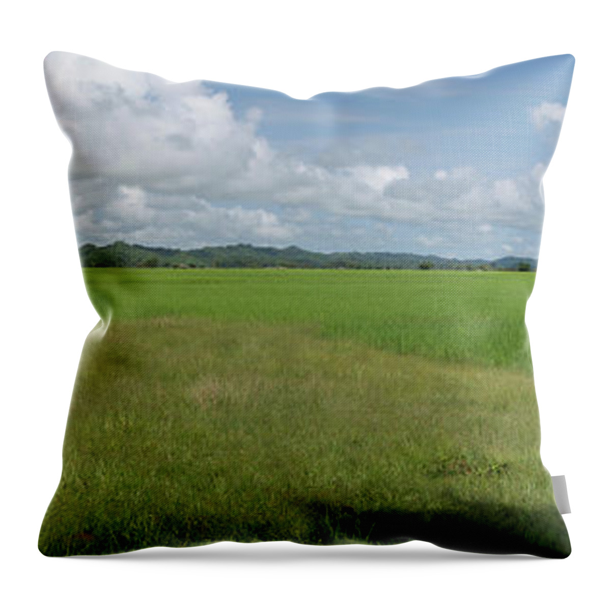 Photography Throw Pillow featuring the photograph Agricultural Field Near Mrauk U by Panoramic Images