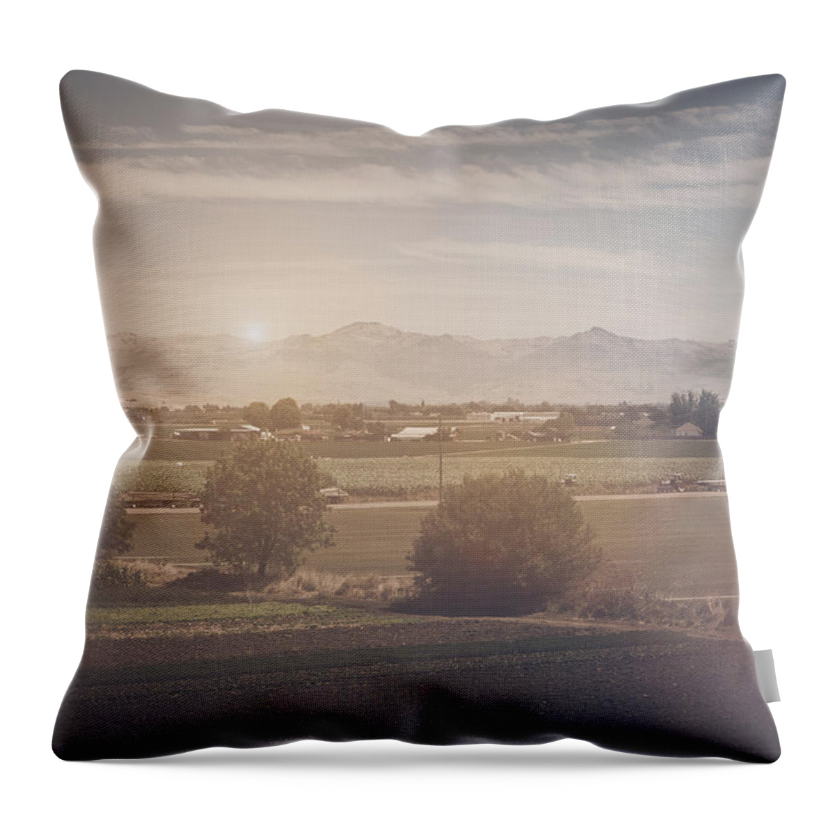 Green Throw Pillow featuring the photograph Agriculture Scene in Retro Instagram Style Filter by Brandon Bourdages
