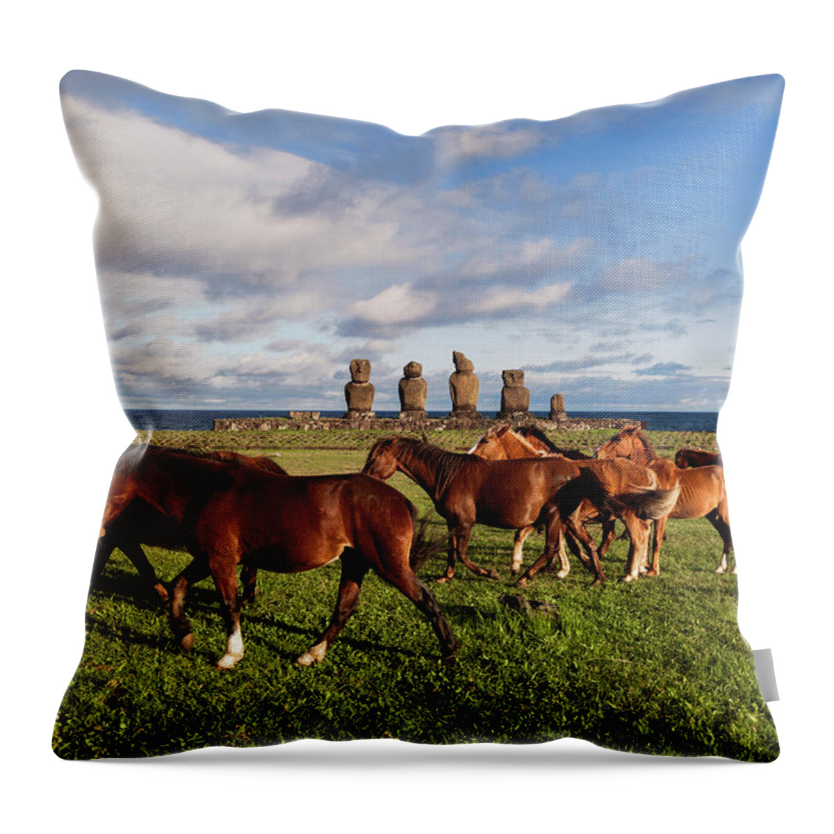 Horse Throw Pillow featuring the photograph Ahu Taha In Easter Island by Luis Davilla