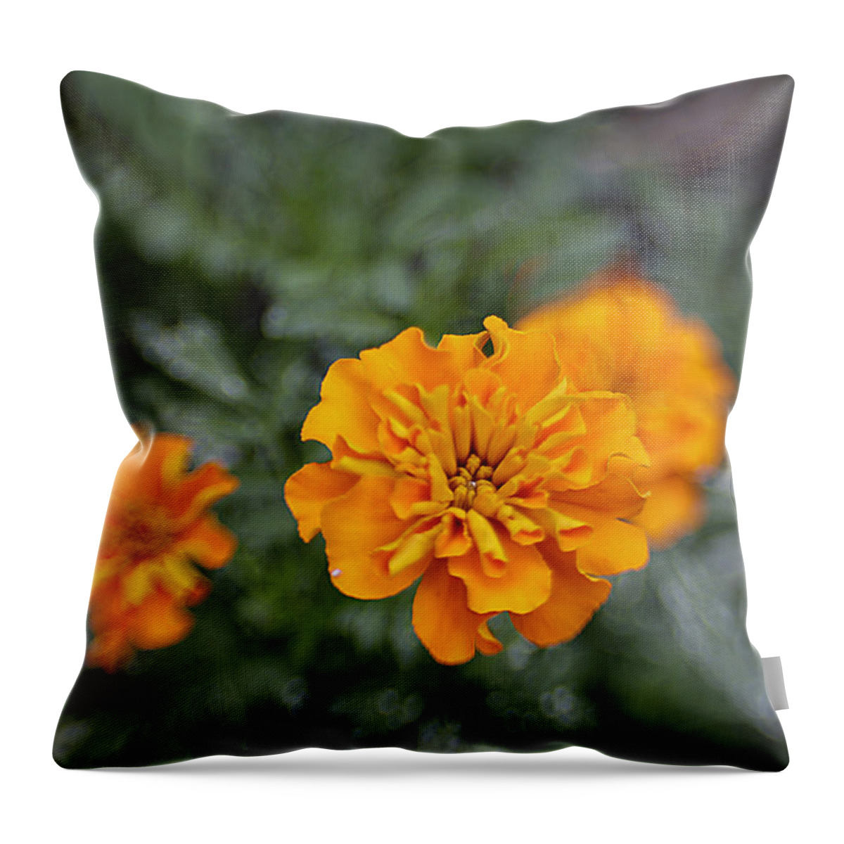 Flowers Throw Pillow featuring the photograph Aidan's Orange by Jean Macaluso