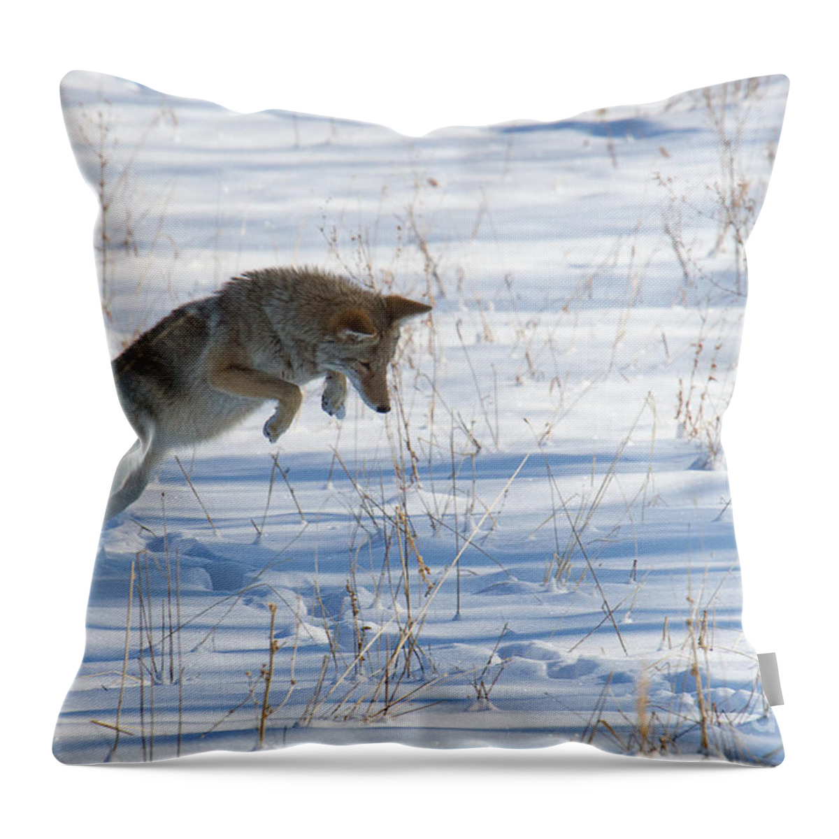 Blurred Throw Pillow featuring the photograph Airborne Hunter by Jim Garrison