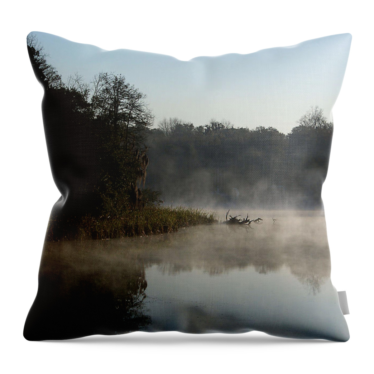 Alafia River Throw Pillow featuring the photograph Alafia River by Chauncy Holmes