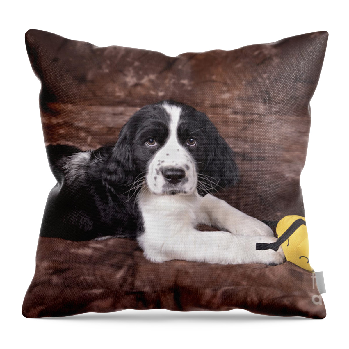 Throw Pillow featuring the photograph Alfred by Alana Ranney