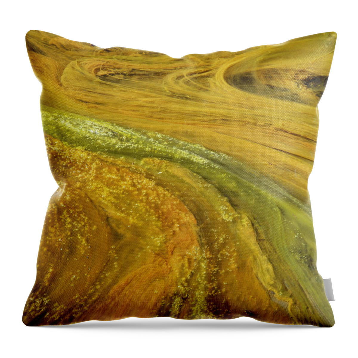 Algae Throw Pillow featuring the photograph Algae In A Pond by Thomas And Pat Leeson