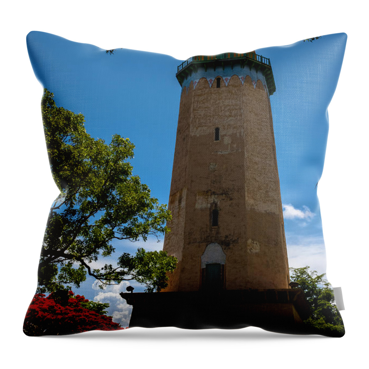 Alhambra Water Tower Throw Pillow featuring the photograph Alhambra Water Tower of Coral Gables by Ed Gleichman
