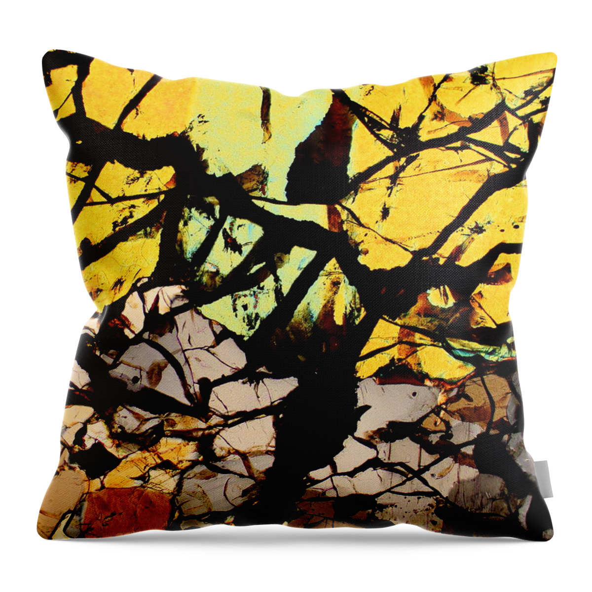 Meteorites Throw Pillow featuring the photograph All Hallows Eve by Hodges Jeffery