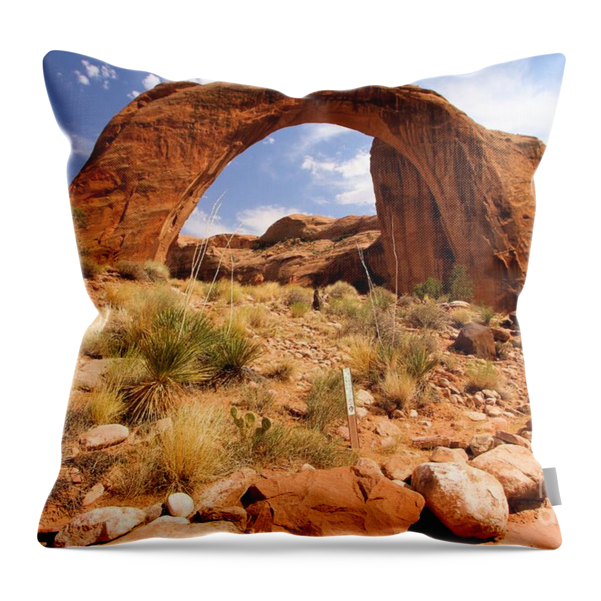Rainbow Bridge Throw Pillow featuring the photograph All Lined Up by Adam Jewell