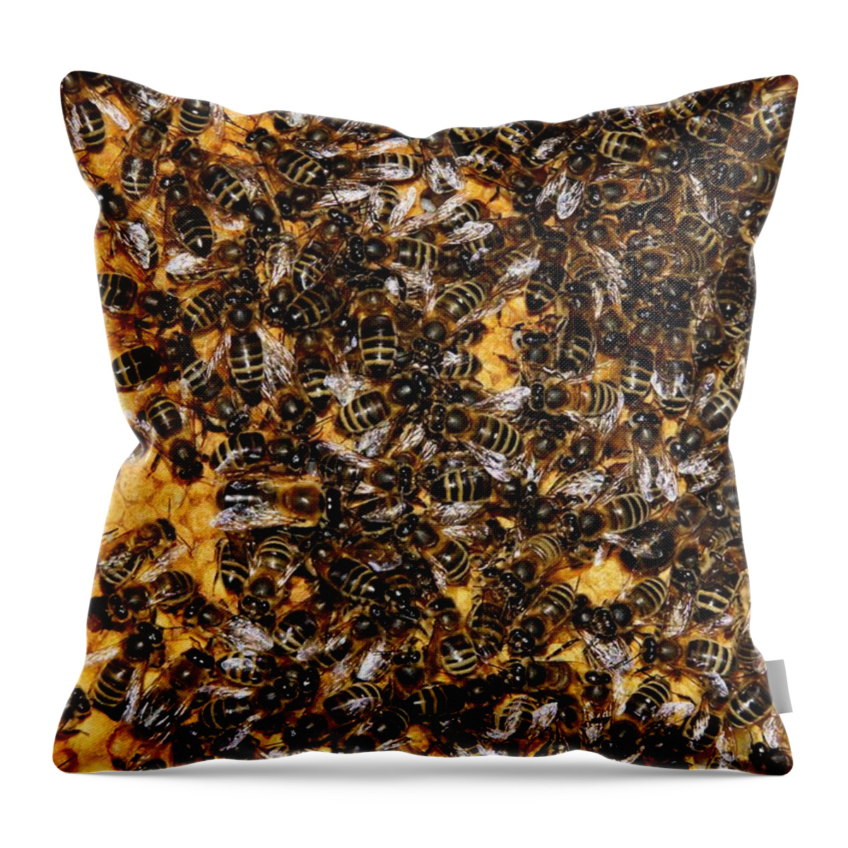 Honeybee Throw Pillow featuring the photograph All work and no play by Ron Harpham