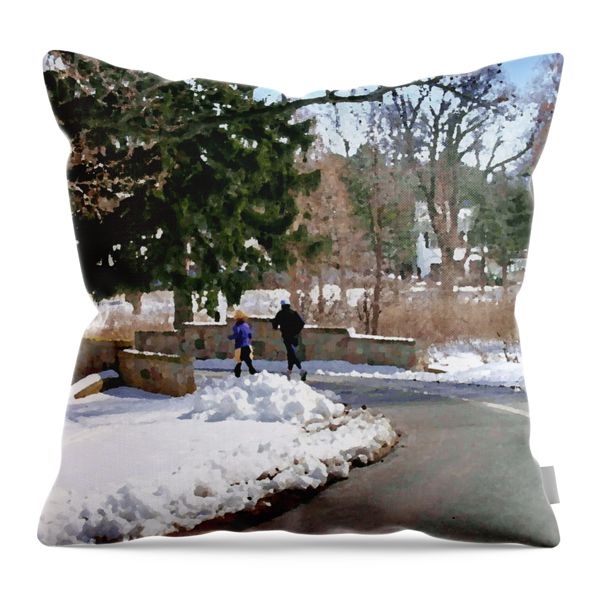 Allentown Pa Throw Pillow featuring the photograph Allentown PA Trexler Park Winter Exercise by Jacqueline M Lewis