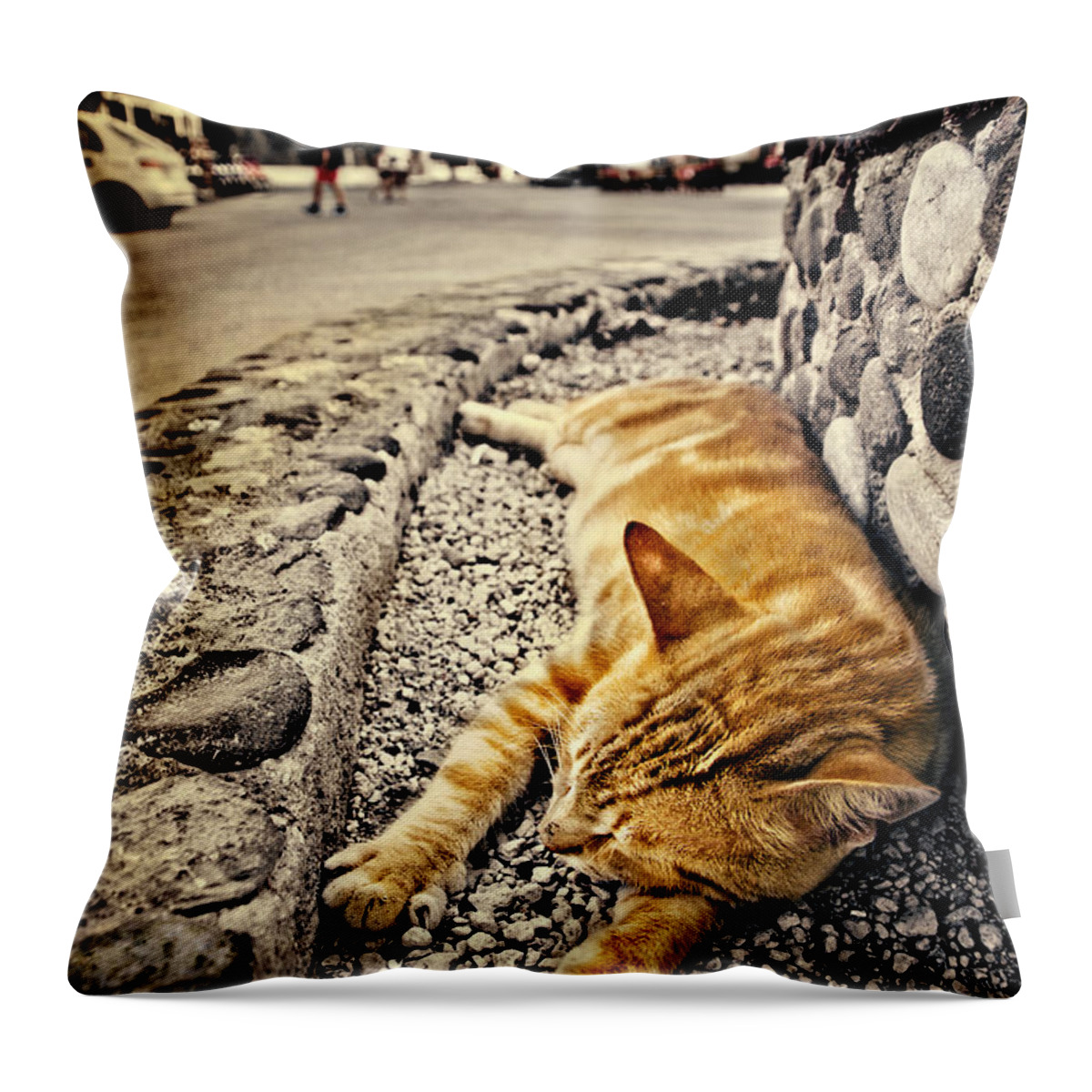 Ginger Throw Pillow featuring the photograph Alley Cat Siesta In Grunge by Meirion Matthias