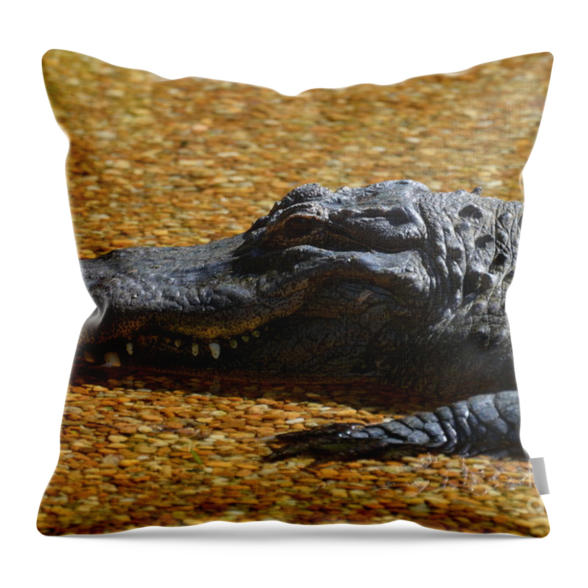 Alligator Throw Pillow featuring the photograph Alligator by DejaVu Designs