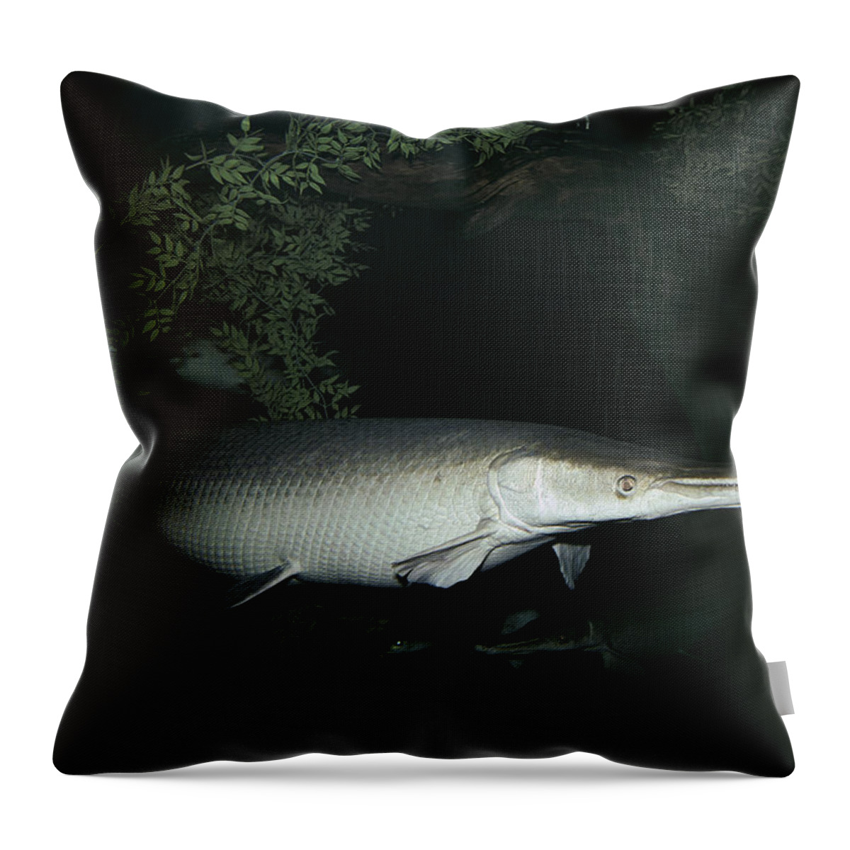 Feb0514 Throw Pillow featuring the photograph Alligator Gar by Flip Nicklin
