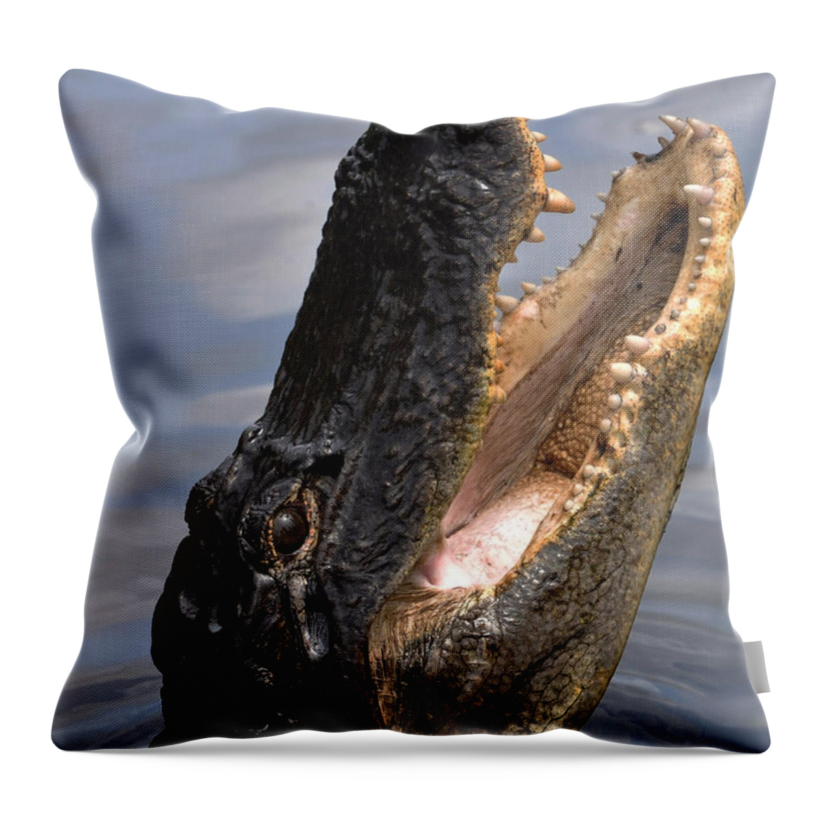 Alligator Throw Pillow featuring the photograph Alligator Head by Mary Beth Angelo