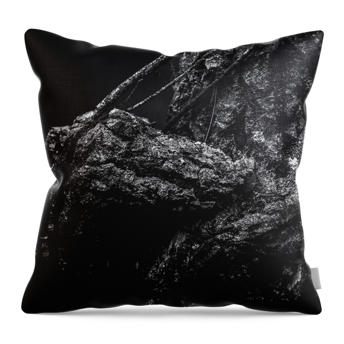 Alligator Throw Pillow featuring the photograph Alligator Tree by Sue Capuano