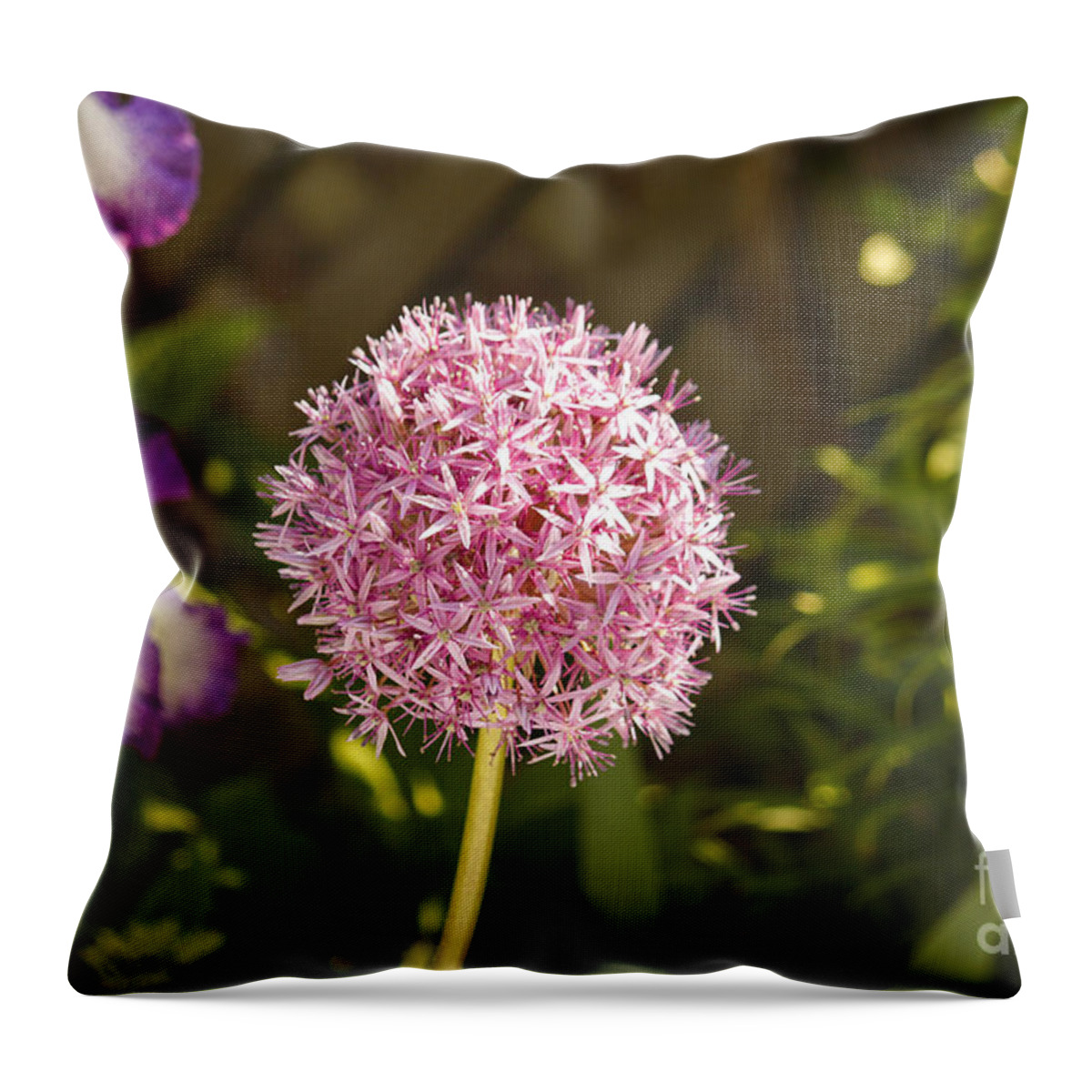 Allium Throw Pillow featuring the photograph Allium and Iris by Tom Doud