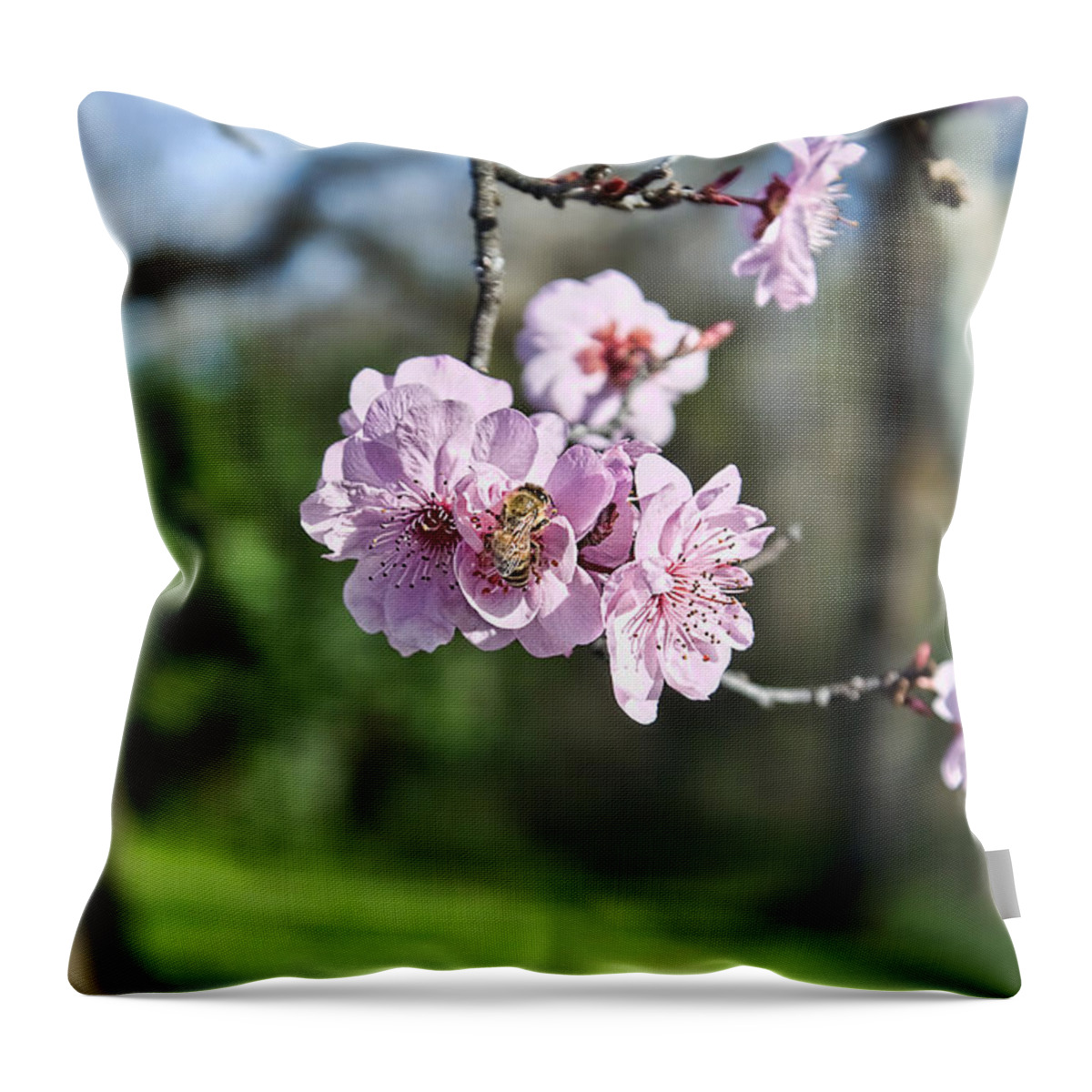 Almond Throw Pillow featuring the photograph Almond blossoms by Abram House