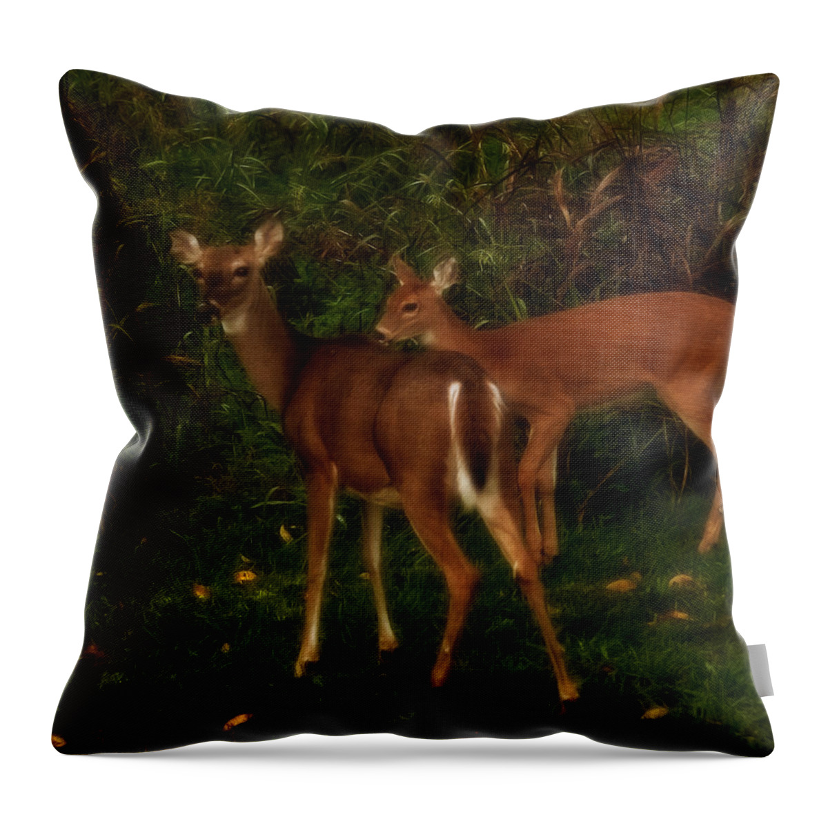 Nature Throw Pillow featuring the photograph Almost Dark by Lena Wilhite