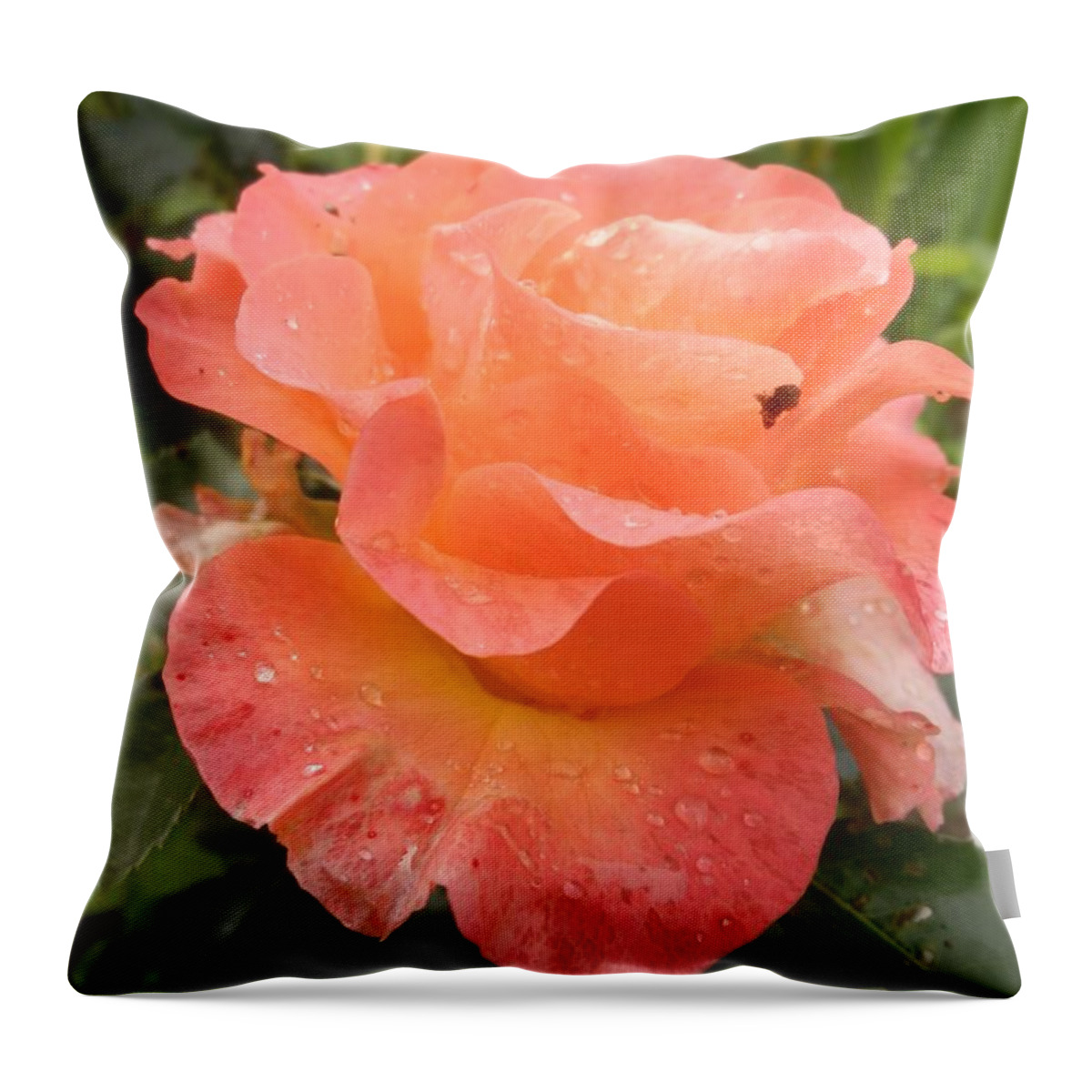 Summer Throw Pillow featuring the photograph Almost perfect by Maria Karalyos