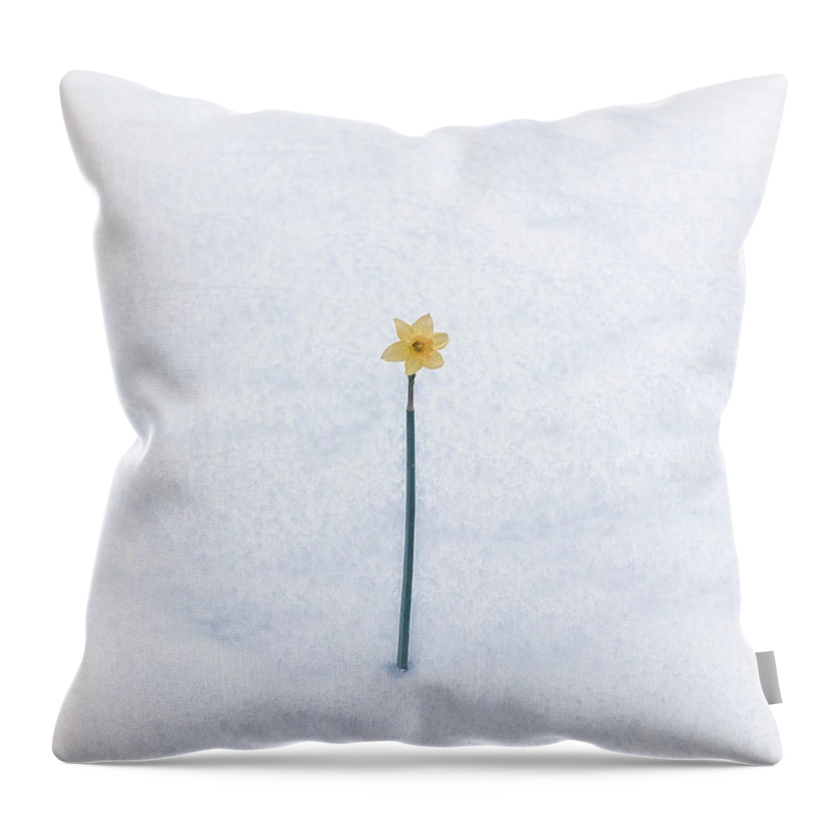 Daffodil Throw Pillow featuring the photograph Almost Spring by Joana Kruse