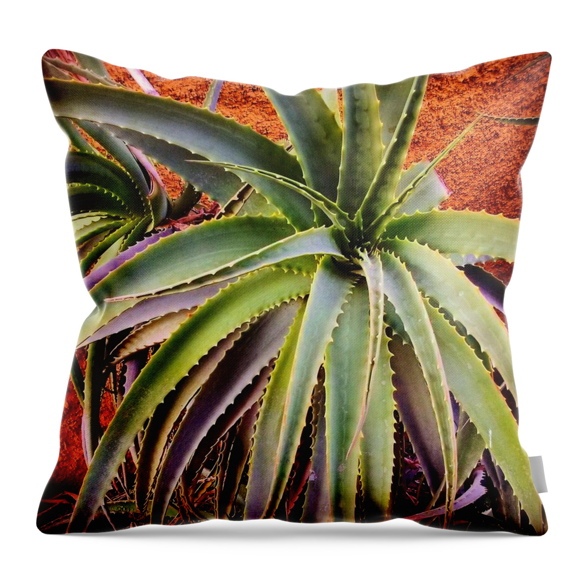  Throw Pillow featuring the photograph Aloe Vera by JLmorales