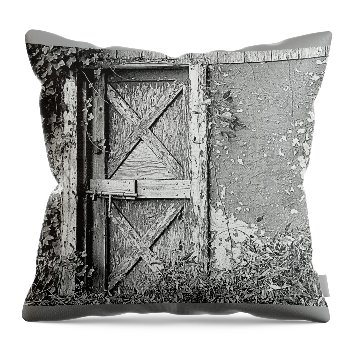 Door Throw Pillow featuring the photograph Abandoned and Alone by Lori Lafargue