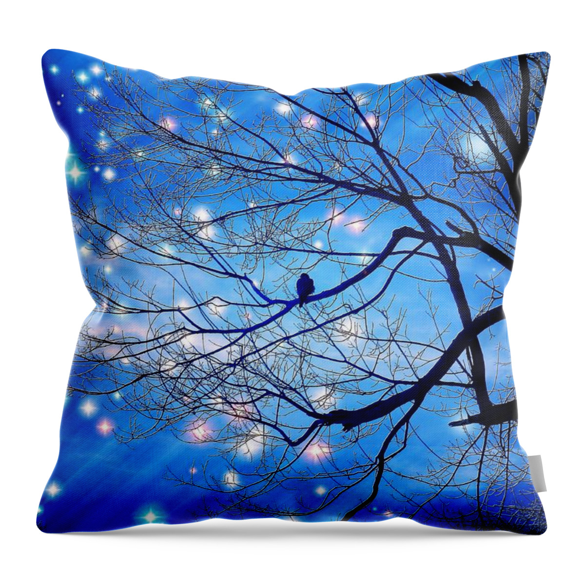 Bird Throw Pillow featuring the photograph Alone With The Stars by Zinvolle Art