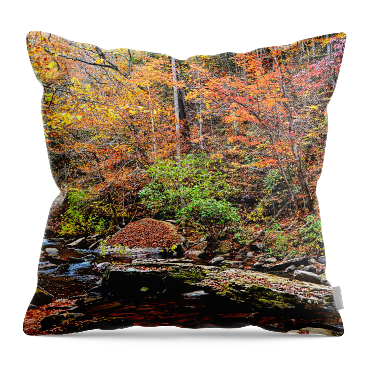 Clifty Creek Throw Pillow featuring the photograph Along Fall Creek by Paul Mashburn