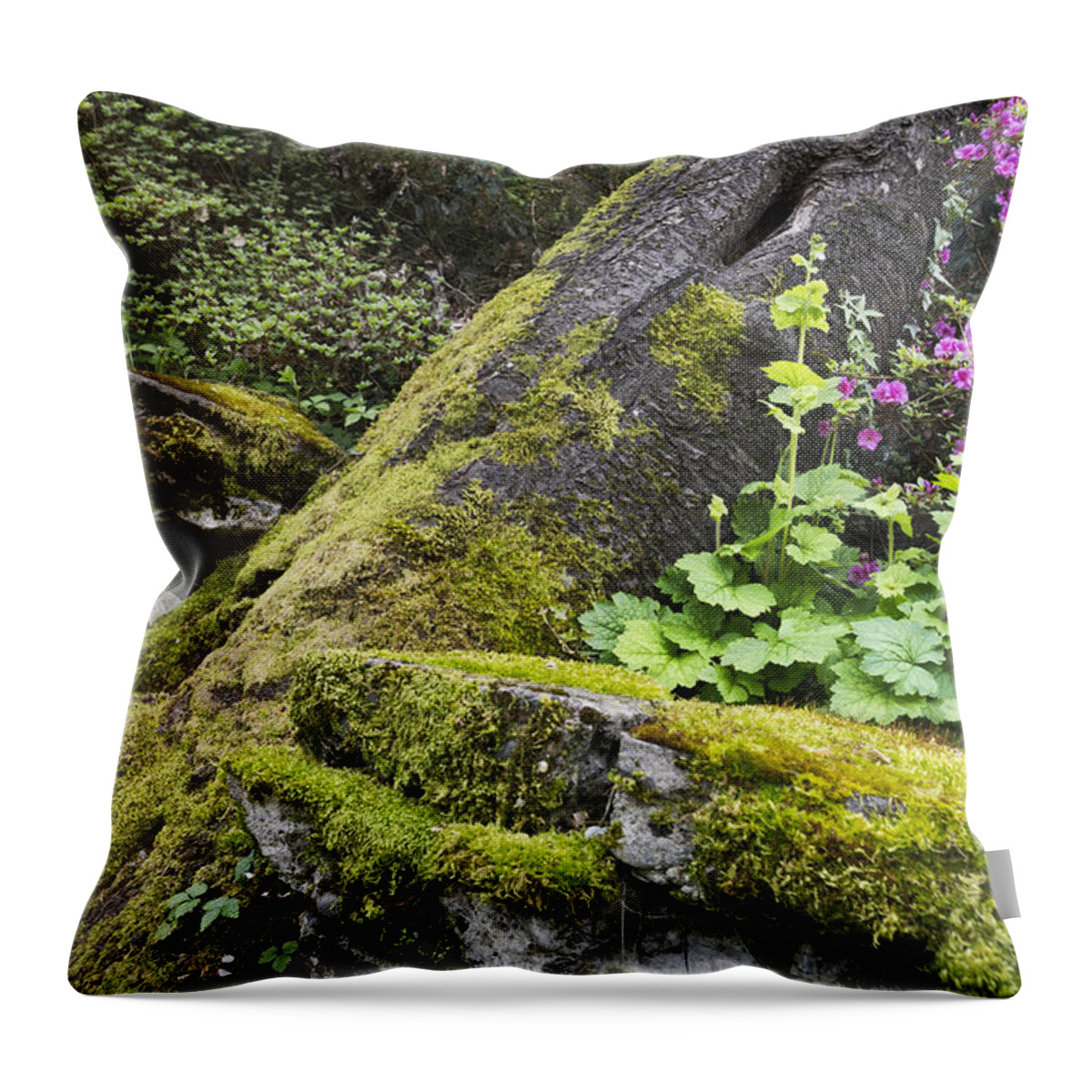 Nature Throw Pillow featuring the photograph Along The Pathway by Priya Ghose