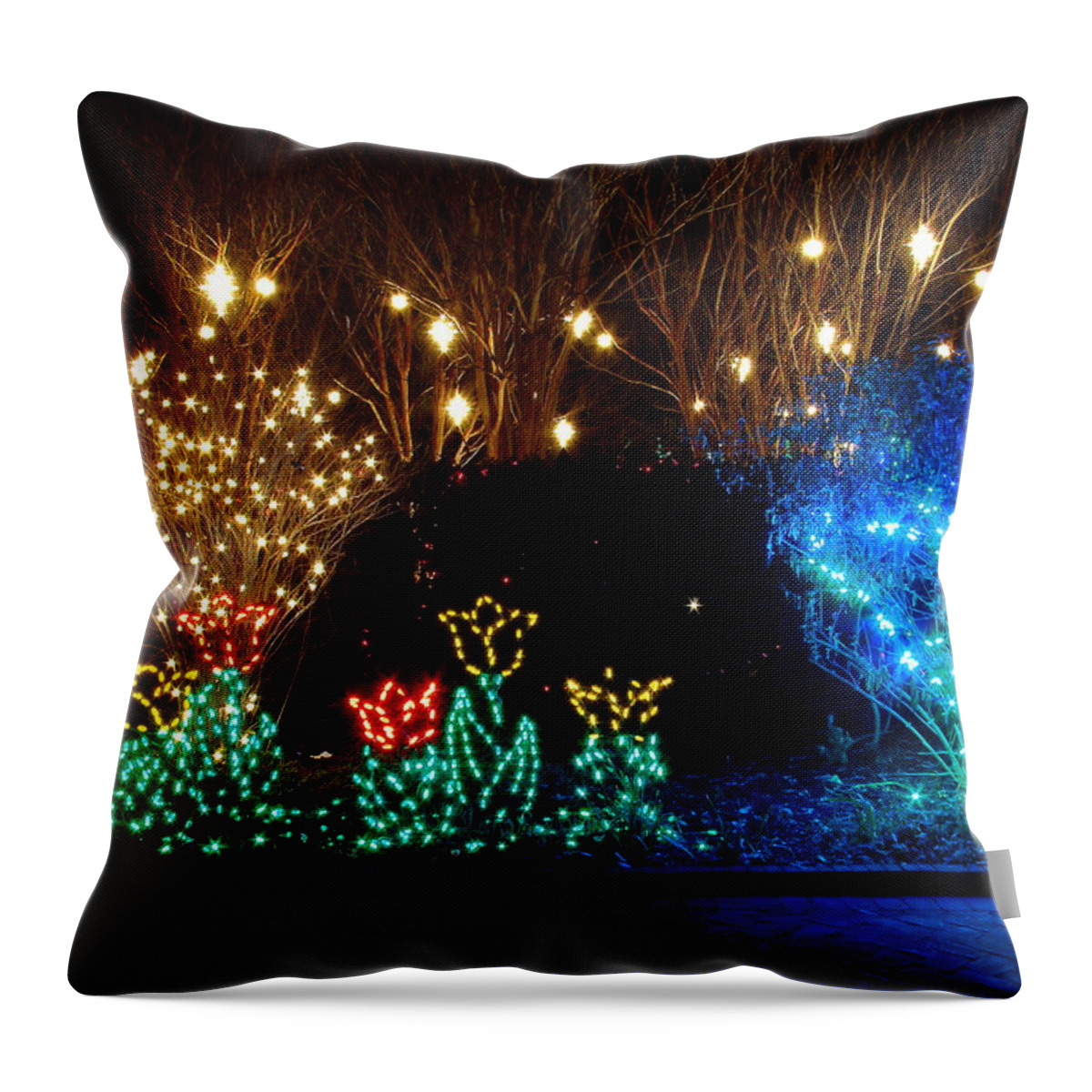 Holidays Throw Pillow featuring the photograph Along The Walk by Rodney Lee Williams