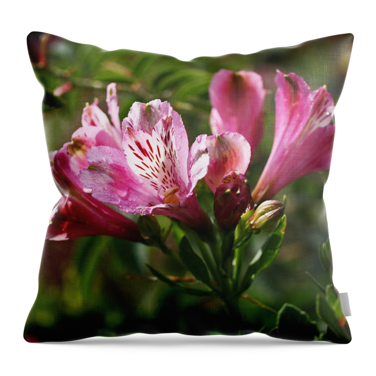 Pink Throw Pillow featuring the photograph Alstroemeria by Rona Black