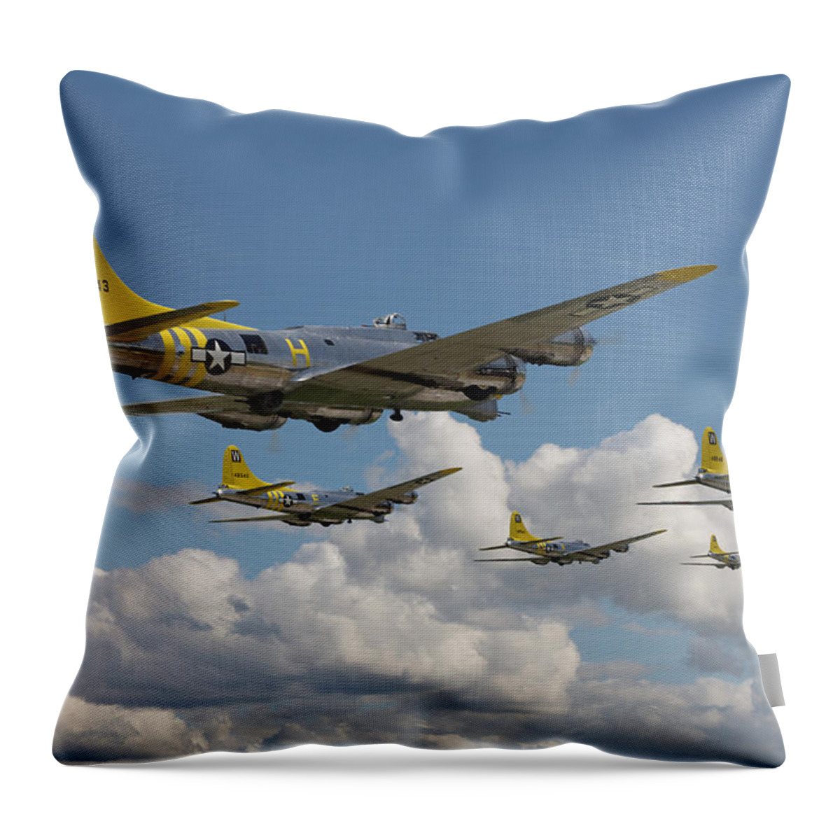 Aircraft Throw Pillow featuring the digital art Aluminium Overcast by Pat Speirs