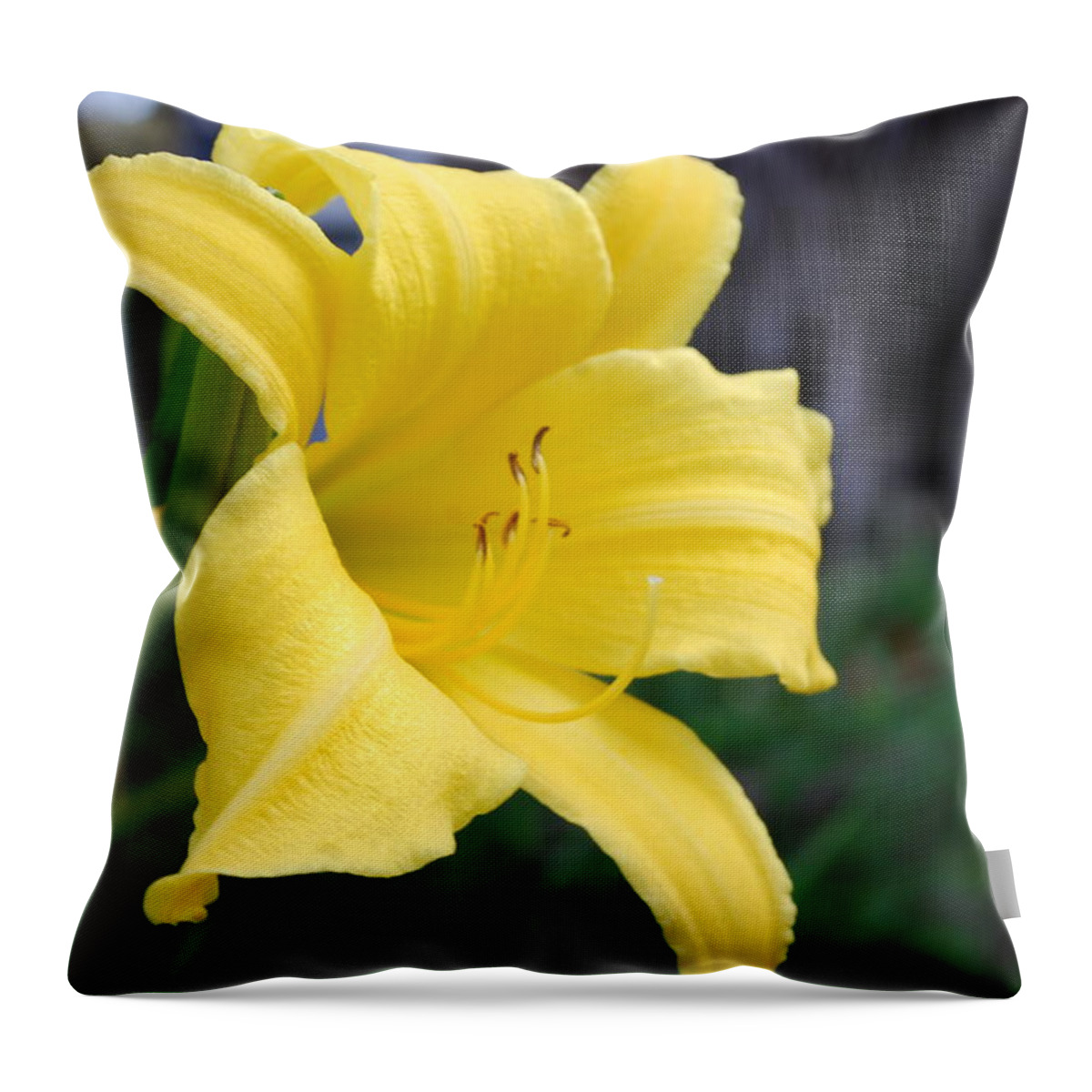 Tree Green Field Throw Pillow featuring the photograph Amanecer by Rebeca Segura